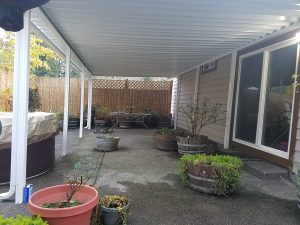Pic 11